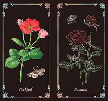 美術書 アート本 バラ売り Amazon.co.jp: 大人のスクラッチアート~薔薇の花園~Night Bloom